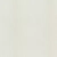 Gạch Taicera G68905