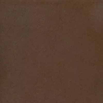 Gạch Taicera G68911