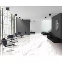 Gạch Taicera G68945