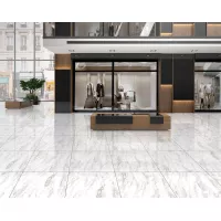 Gạch Taicera G68953