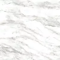 Gạch Taicera G68953