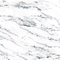 Gạch Taicera G68957