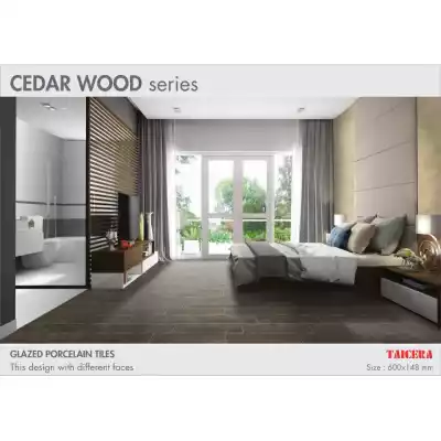 Gạch Taicera GC200*1200-921