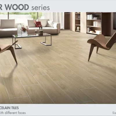 Gạch Taicera GC200*1200-923