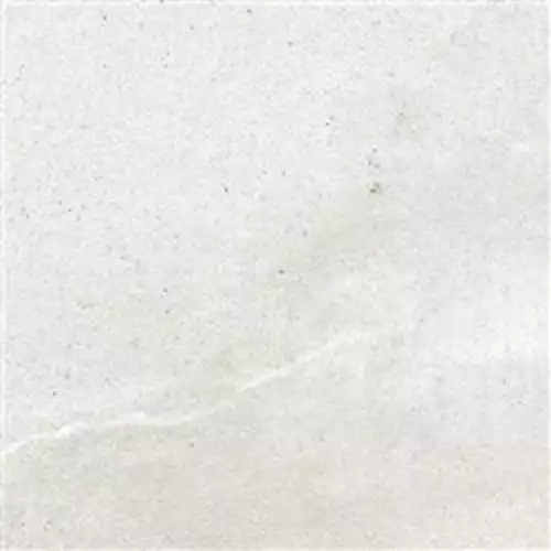 Gạch Taicera GC299x299-73M2