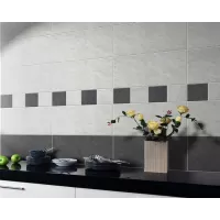 Gạch Taicera GC299x299-769