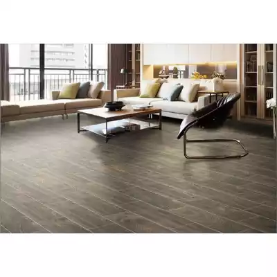 Gạch Taicera GC600x148-921