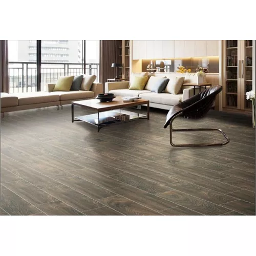 Gạch Taicera GC600x148-921