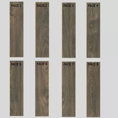 Gạch Taicera GC600x148-921