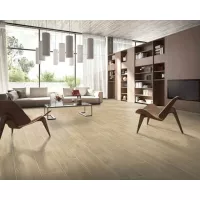 Gạch Taicera GC600x148-923