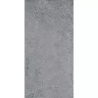 Gạch Taicera GC600x299-818