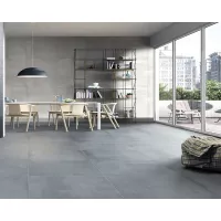 Gạch Taicera GC600x299-828