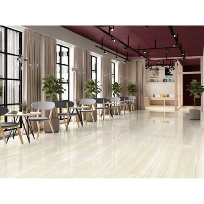 Gạch Taicera GP12208