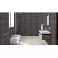 Gạch Taicera GP63074