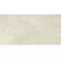 Gạch Taicera GP63813