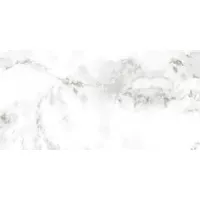 Gạch Taicera GP63953