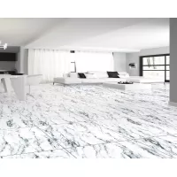 Gạch Taicera GP63957