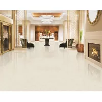 Gạch Taicera GP68016