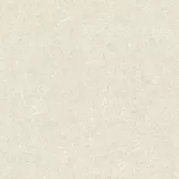 Gạch Taicera GP68016