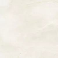 Gạch Taicera GP68073