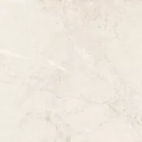 Gạch Taicera GP68813