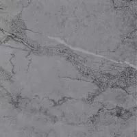 Gạch Taicera GP68818