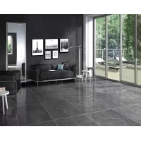 Gạch Taicera GP68819