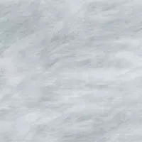 Gạch Taicera GP68838