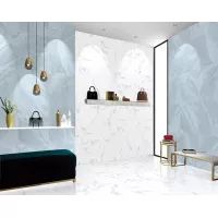 Gạch Taicera GP68945