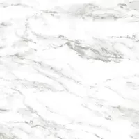 Gạch Taicera GP68953