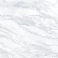 Gạch Taicera GP68955