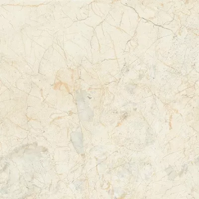 Gạch Taicera GP98903