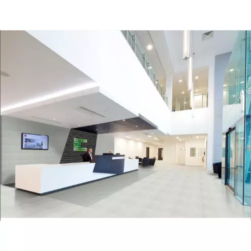 Gạch Taicera HC600x298-312