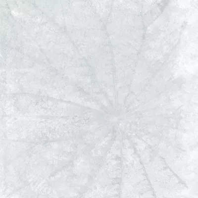 Gạch Taicera Lotus