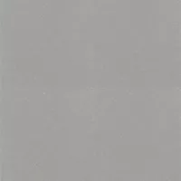 Gạch Taicera P67001N