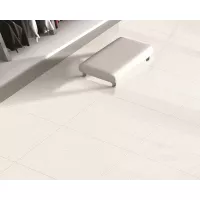 Gạch Taicera P67005N