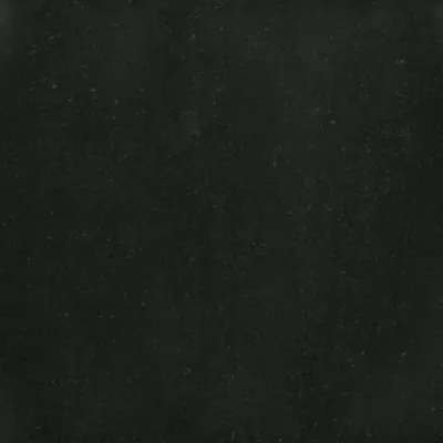 Gạch Taicera P67319N