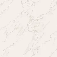 Gạch Taicera P67594N