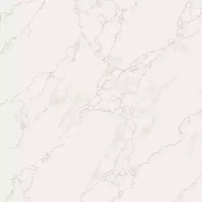 Gạch Taicera P67594N