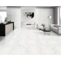 Gạch Taicera P87418N