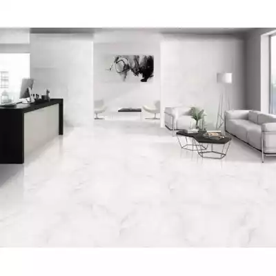 Gạch Taicera P87418N