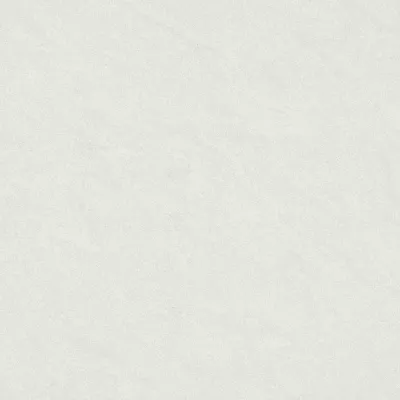 Gạch Taicera P87542N