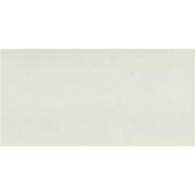 Gạch Taicera PC600*298-312N
