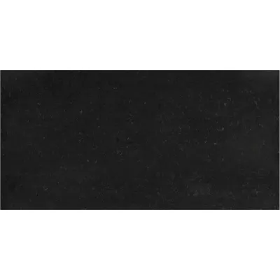 Gạch Taicera PC600*298-319N