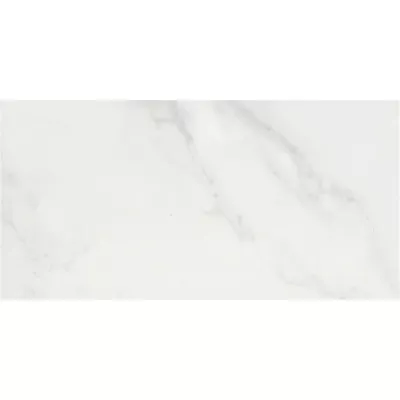 Gạch Taicera PC600*298-418N