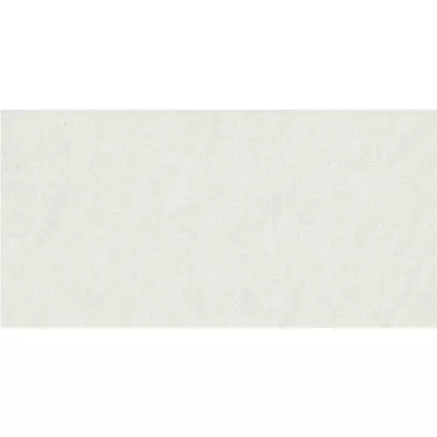 Gạch Taicera PC600*298-542N