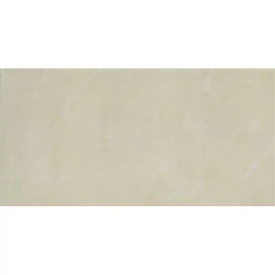 Gạch Taicera PC600*298-543N