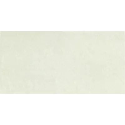 Gạch Taicera PC600*298-703N