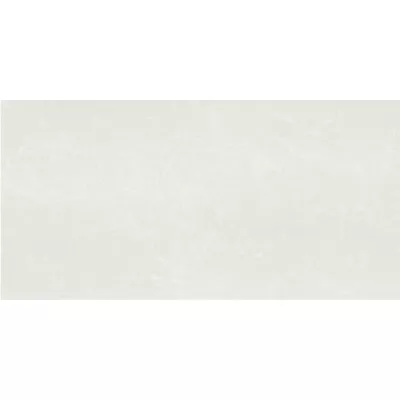 Gạch Taicera PC600*298-762N