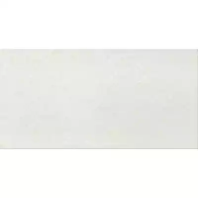 Gạch Taicera PC600x298-702N